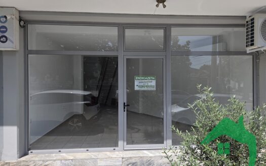 Κατάστημα, 45τ.μ. στην Αριδαία