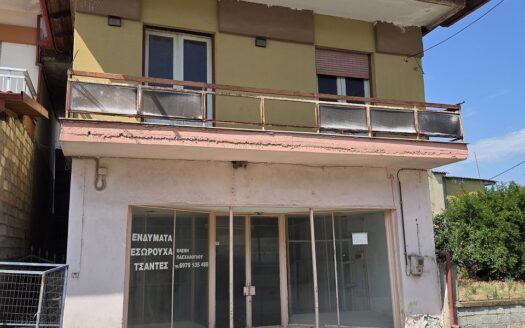 Πωλείται Ακίνητο 112 τ.μ σε Οικόπεδο 1.160 τ.μ , Εξαπλάτανος Αριδαίας
