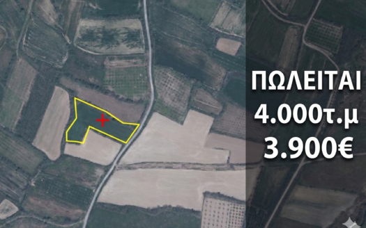 Πωλείται Αγροτεμάχιο 4.000τ.μ, ΘΗΡΙΟΠΕΤΡΑ