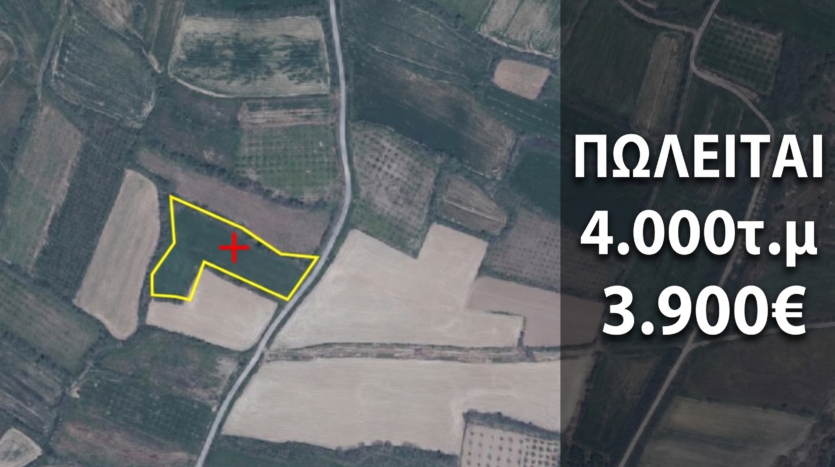 Πωλείται Αγροτεμάχιο 4.000τ.μ, ΘΗΡΙΟΠΕΤΡΑ
