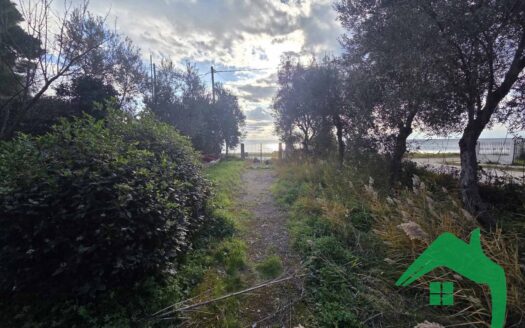 Οικόπεδο, 379τ.μ. Παραλία Νικήτης, Σιθωνία (Χαλκιδική)