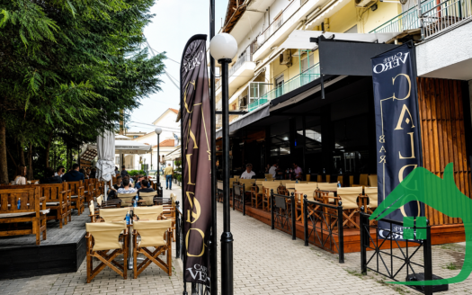 ΠΩΛΕΙΤΑΙ Επιχείρηση Cafe-Bar, Αριδαία