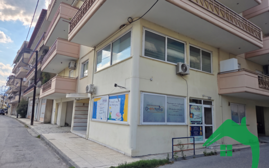 ΕΝΟΙΚΙΑΖΕΤΑΙ  Επαγγελματικός Χώρος 110τ.μ, Αριδαία