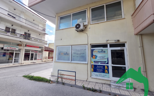 ΕΝΟΙΚΙΑΖΕΤΑΙ  Επαγγελματικός Χώρος 110τ.μ, Αριδαία