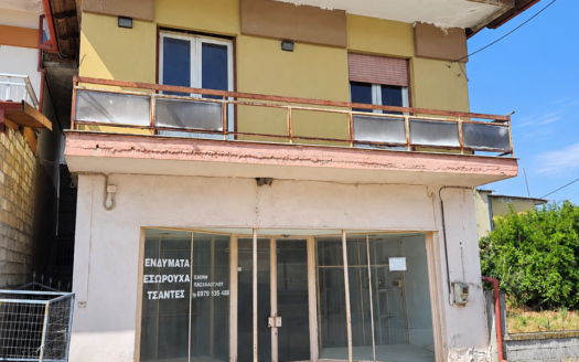 Πωλείται Ακίνητο 112τ.μ  Εξαπλάτανος, Αλμωπίας