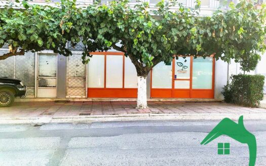Ενοικιάζετε Κατάστημα 50τ.μ., Αριδαία