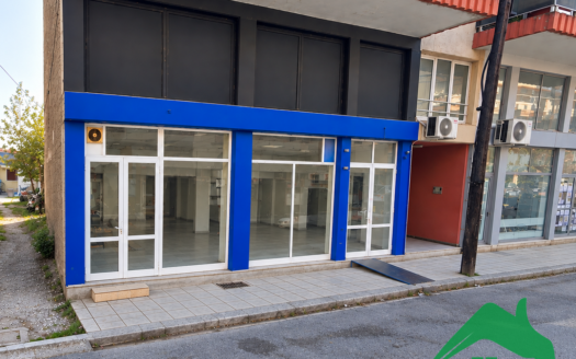 Ενοκιάζετε Κατάστημα 93τ.μ, Αριδαία