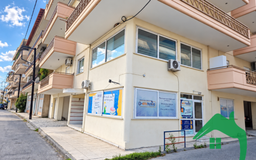 ΕΝΟΙΚΙΑΖΕΤΑΙ  Επαγγελματικός Χώρος 110τ.μ, Αριδαία