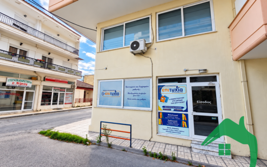ΕΝΟΙΚΙΑΖΕΤΑΙ  Επαγγελματικός Χώρος 110τ.μ, Αριδαία