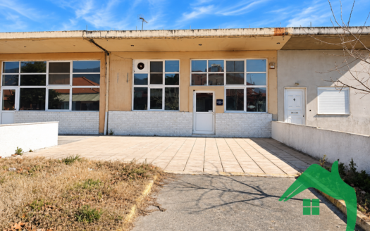 Κατάστημα 275τ.μ στην Άψαλο, Αλμωπίας